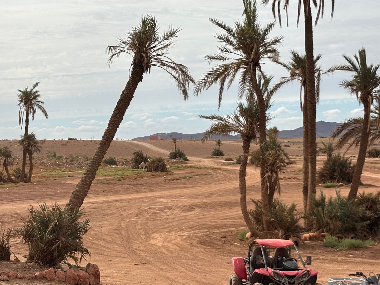 marrakech desert